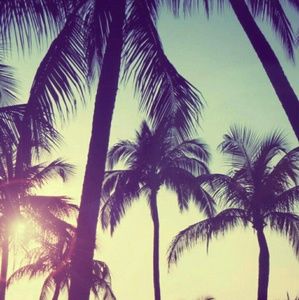 Meet your Posher, Leticia